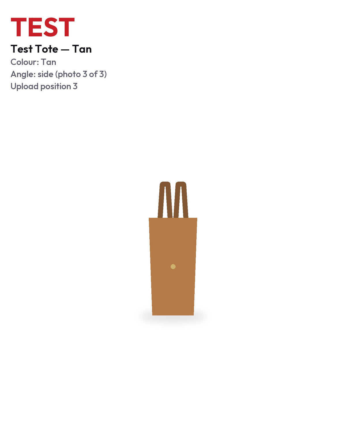 TEST Tote Tan side